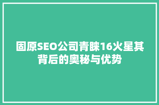 固原SEO公司青睐16火星其背后的奥秘与优势