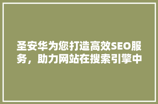 圣安华为您打造高效SEO服务，助力网站在搜索引擎中脱颖而出