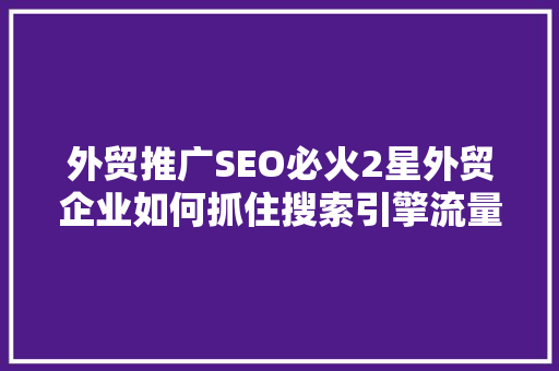 外贸推广SEO必火2星外贸企业如何抓住搜索引擎流量红利