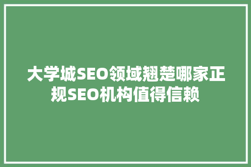 大学城SEO领域翘楚哪家正规SEO机构值得信赖