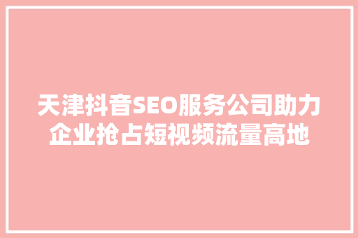天津抖音SEO服务公司助力企业抢占短视频流量高地