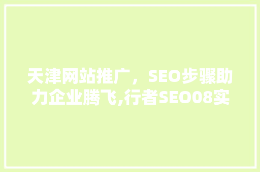 天津网站推广，SEO步骤助力企业腾飞,行者SEO08实战分享