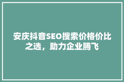 安庆抖音SEO搜索价格价比之选，助力企业腾飞