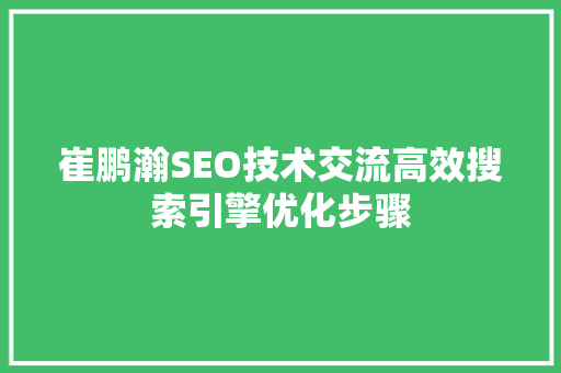 崔鹏瀚SEO技术交流高效搜索引擎优化步骤