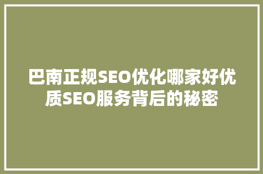 巴南正规SEO优化哪家好优质SEO服务背后的秘密