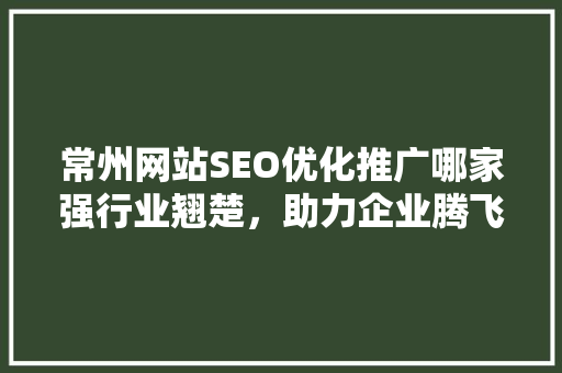 常州网站SEO优化推广哪家强行业翘楚，助力企业腾飞