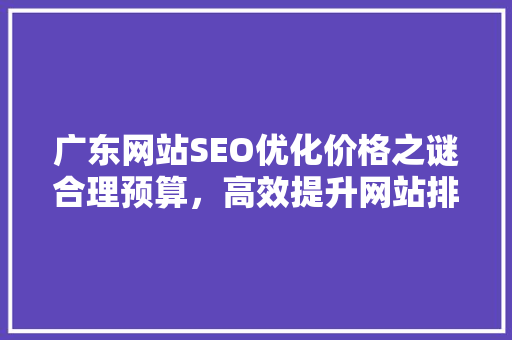 广东网站SEO优化价格之谜合理预算，高效提升网站排名