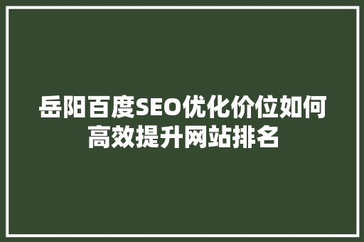 岳阳百度SEO优化价位如何高效提升网站排名  第1张