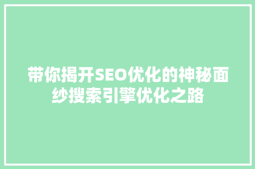带你揭开SEO优化的神秘面纱搜索引擎优化之路