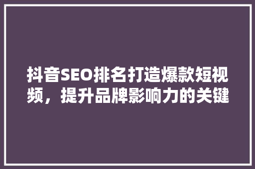 抖音SEO排名打造爆款短视频，提升品牌影响力的关键步骤