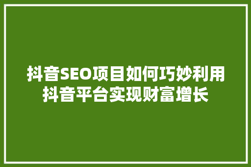 抖音SEO项目如何巧妙利用抖音平台实现财富增长