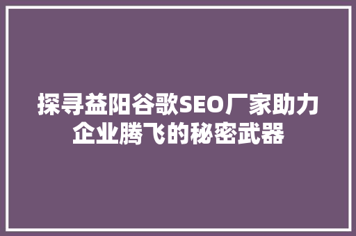 探寻益阳谷歌SEO厂家助力企业腾飞的秘密武器