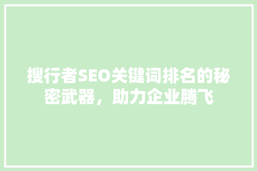 搜行者SEO关键词排名的秘密武器，助力企业腾飞