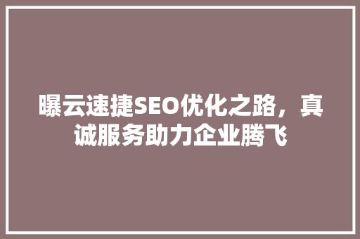 曝云速捷SEO优化之路，真诚服务助力企业腾飞