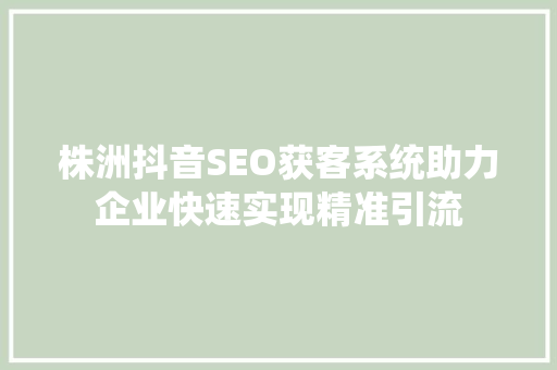 株洲抖音SEO获客系统助力企业快速实现精准引流