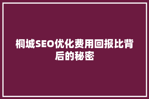 桐城SEO优化费用回报比背后的秘密