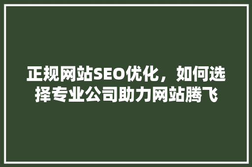 正规网站SEO优化，如何选择专业公司助力网站腾飞