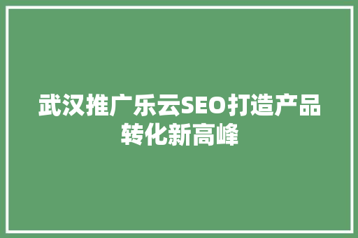 武汉推广乐云SEO打造产品转化新高峰