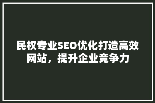 民权专业SEO优化打造高效网站，提升企业竞争力
