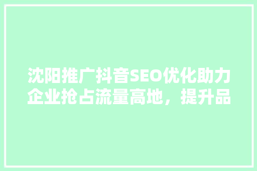 沈阳推广抖音SEO优化助力企业抢占流量高地，提升品牌影响力