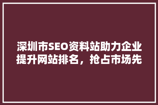 深圳市SEO资料站助力企业提升网站排名，抢占市场先机