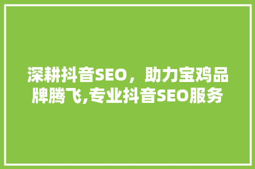 深耕抖音SEO，助力宝鸡品牌腾飞,专业抖音SEO服务之路