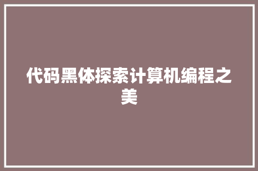 代码黑体探索计算机编程之美