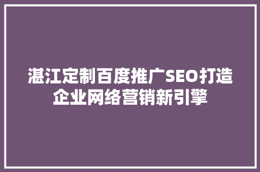 湛江定制百度推广SEO打造企业网络营销新引擎