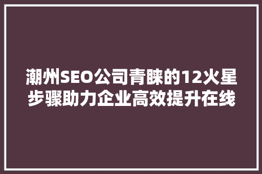 潮州SEO公司青睐的12火星步骤助力企业高效提升在线排名