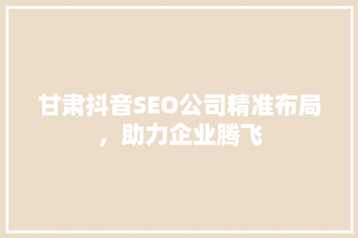 甘肃抖音SEO公司精准布局，助力企业腾飞