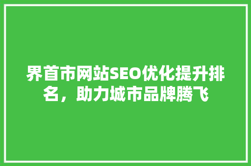 界首市网站SEO优化提升排名，助力城市品牌腾飞