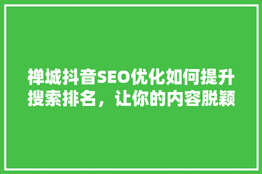 禅城抖音SEO优化如何提升搜索排名，让你的内容脱颖而出