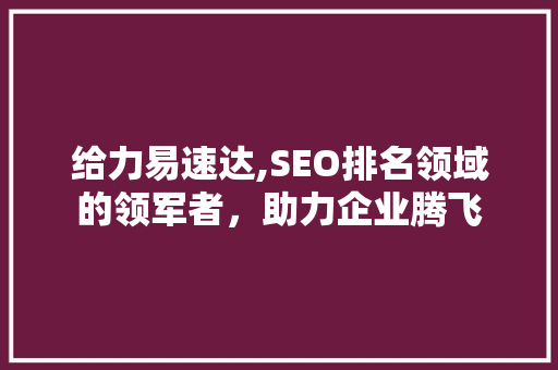 给力易速达,SEO排名领域的领军者，助力企业腾飞
