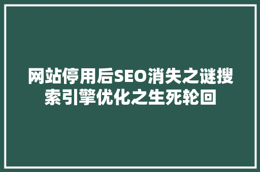 网站停用后SEO消失之谜搜索引擎优化之生死轮回