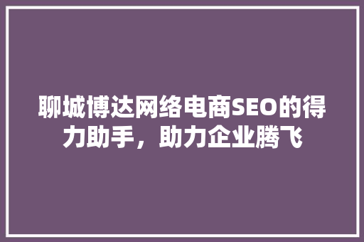聊城博达网络电商SEO的得力助手，助力企业腾飞