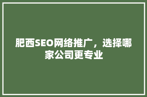 肥西SEO网络推广，选择哪家公司更专业