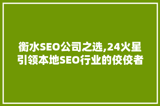 衡水SEO公司之选,24火星引领本地SEO行业的佼佼者