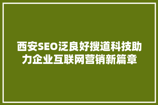 西安SEO泛良好搜道科技助力企业互联网营销新篇章