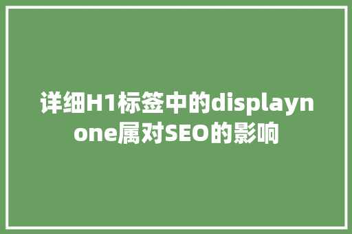 详细H1标签中的displaynone属对SEO的影响