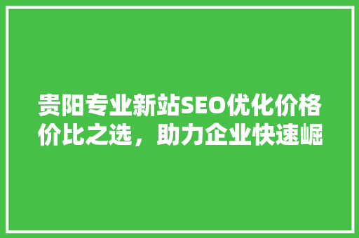 贵阳专业新站SEO优化价格价比之选，助力企业快速崛起