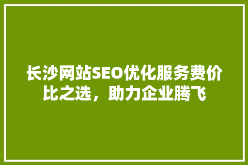 长沙网站SEO优化服务费价比之选，助力企业腾飞