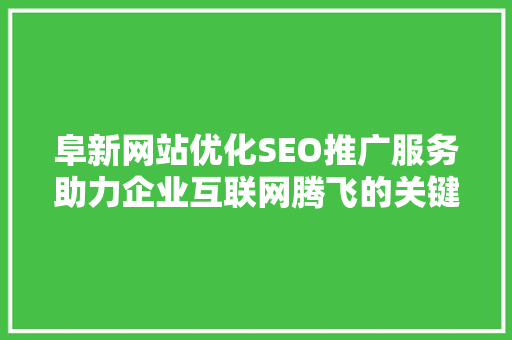 阜新网站优化SEO推广服务助力企业互联网腾飞的关键步骤