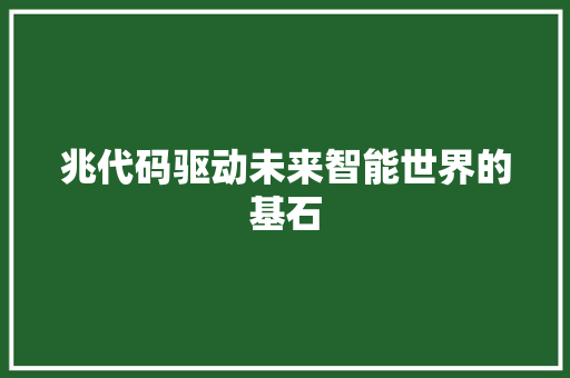 兆代码驱动未来智能世界的基石