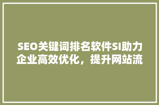 SEO关键词排名软件SI助力企业高效优化，提升网站流量与转化率