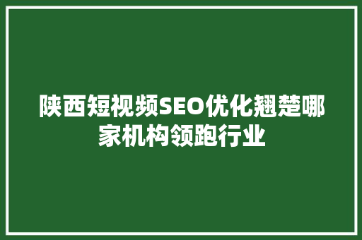 陕西短视频SEO优化翘楚哪家机构领跑行业