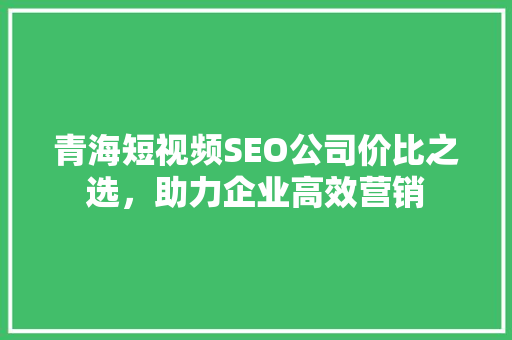 青海短视频SEO公司价比之选，助力企业高效营销