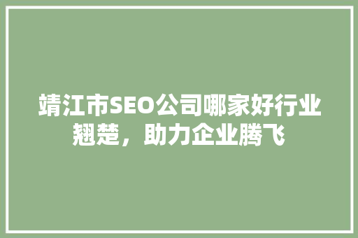 靖江市SEO公司哪家好行业翘楚，助力企业腾飞