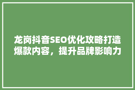 龙岗抖音SEO优化攻略打造爆款内容，提升品牌影响力
