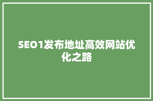 SEO1发布地址高效网站优化之路