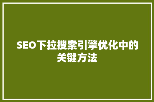 SEO下拉搜索引擎优化中的关键方法